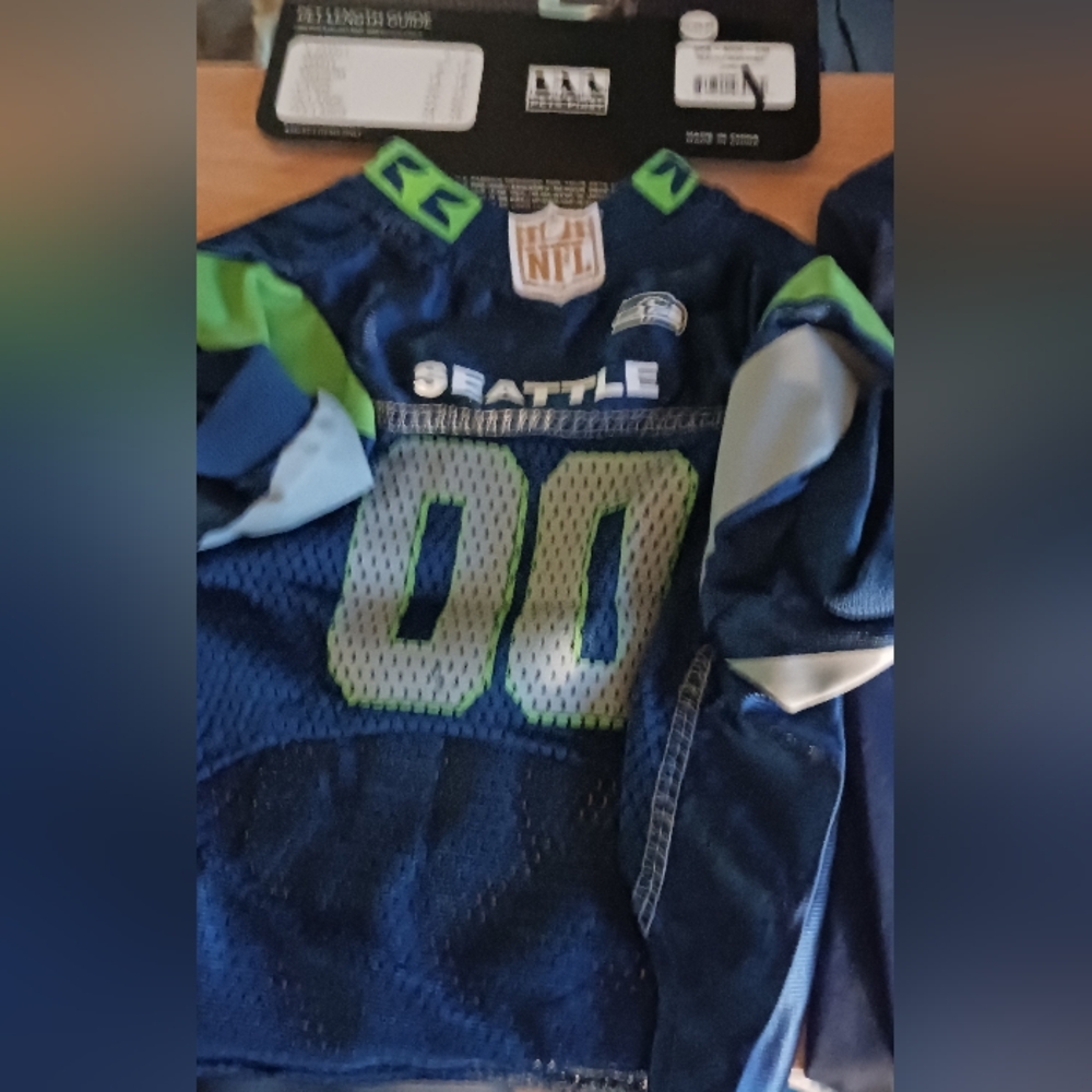 Seattle Seahawks dog outfits